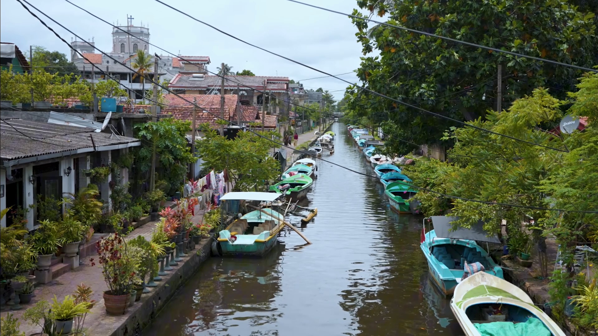 Life along the lagoon