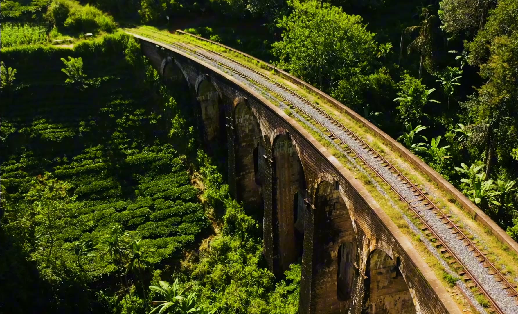 Nine Arch Bridge winding through Sri Lanka’s green hills