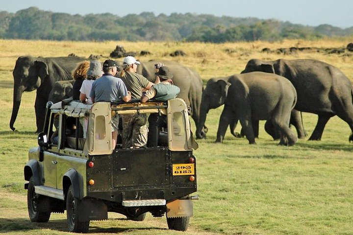 Travellers watching a herd of elephants from a safari vehicle