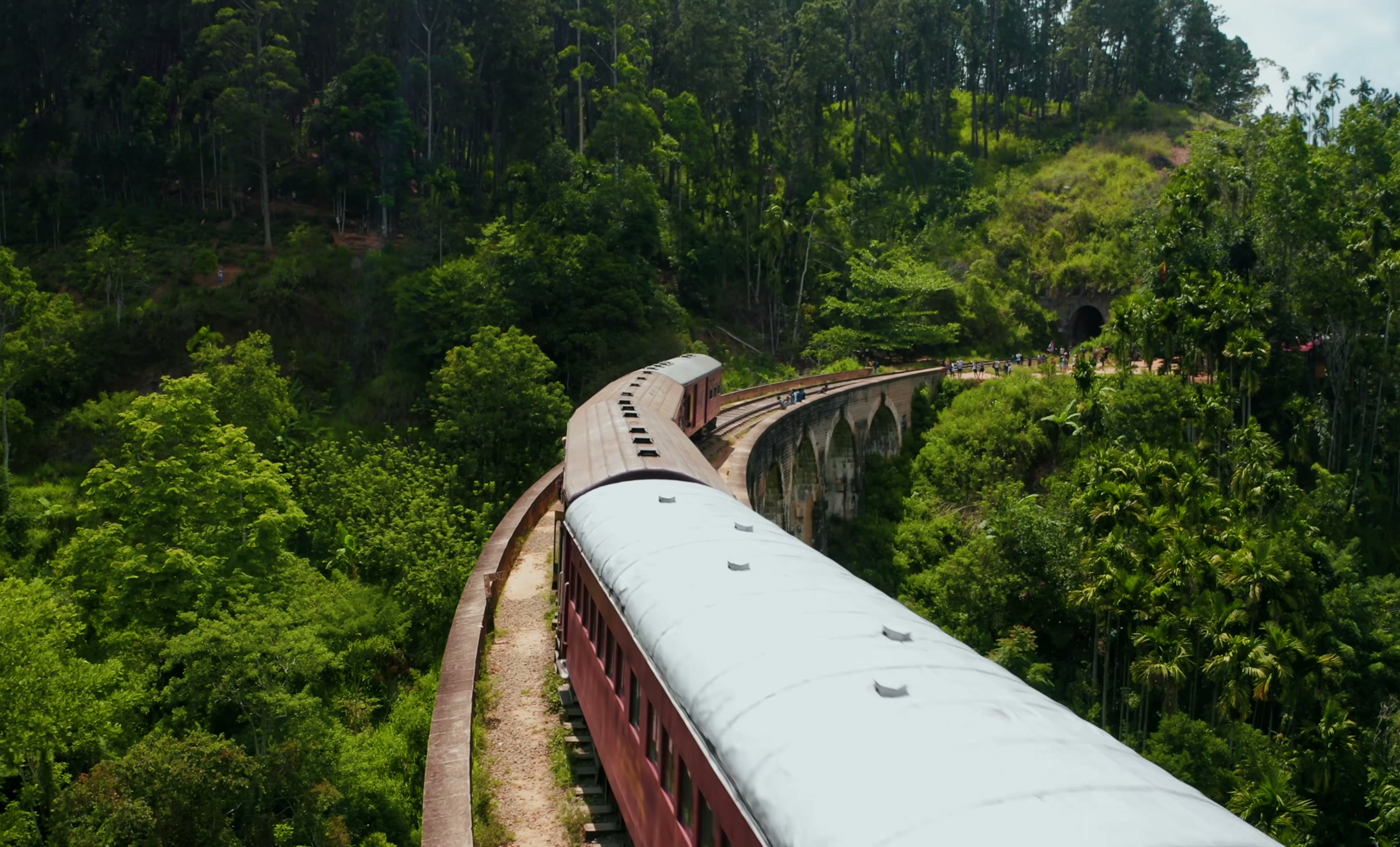 A train travelling through Sri Lanka’s forested hills