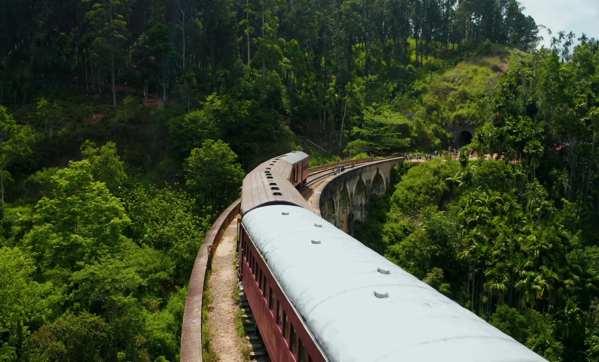 A train travelling through Sri Lanka’s forested hills