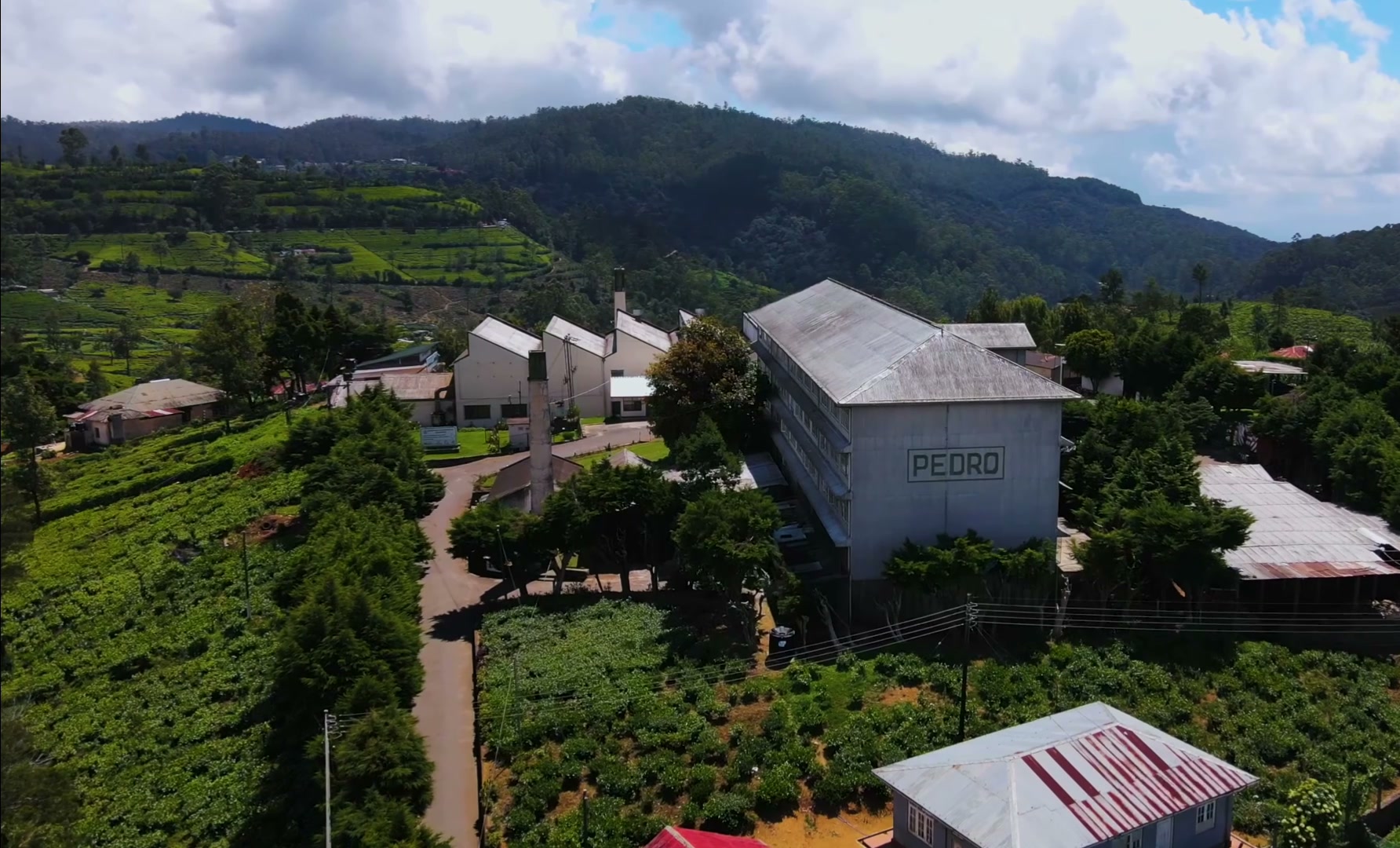 Tea country