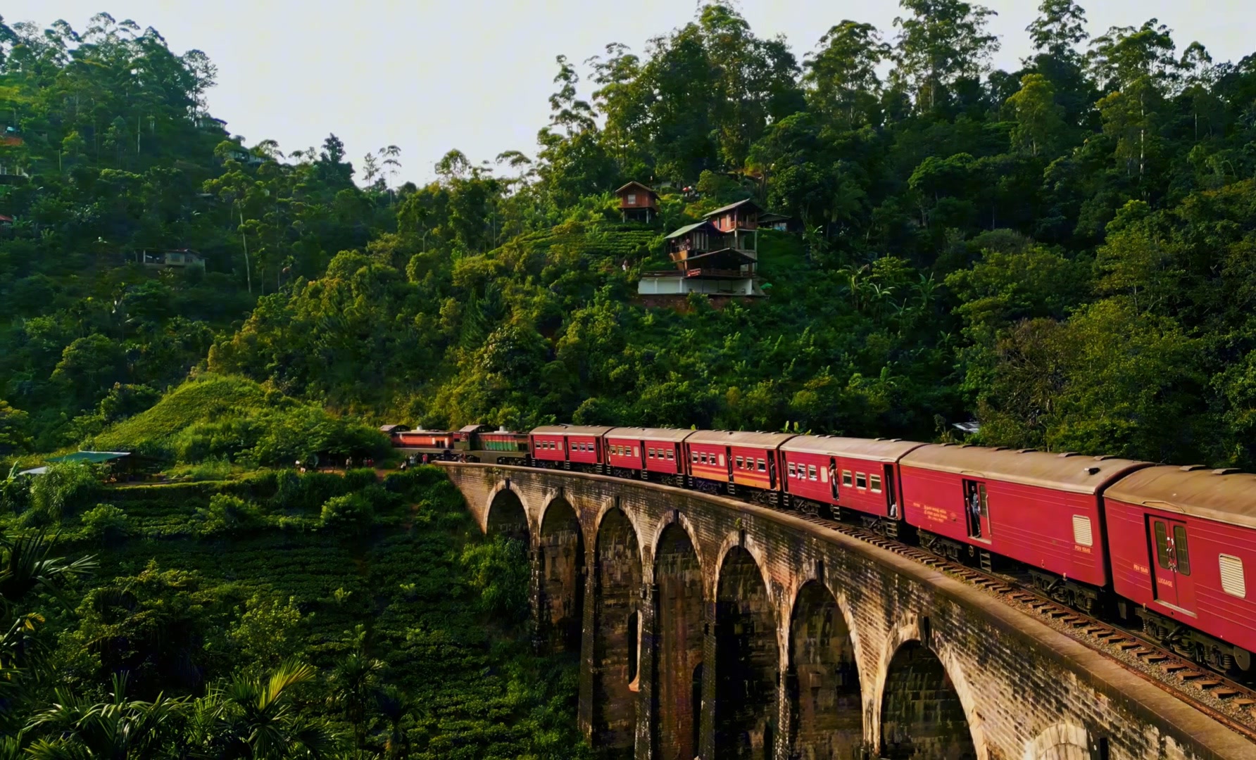 Tea paths and rail journeys